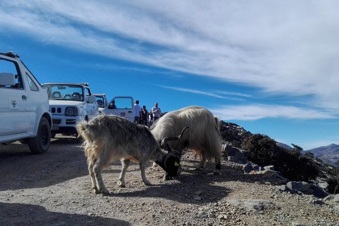 4x4 self drive adventure_Cretan mainland - Lasinthos Eco Park: A Breather With Local Shopping Time