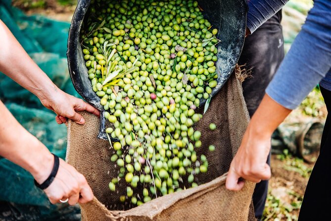 Afternoon Tour: Soap, Olive Oil & Wine Stories of Peza Village - Getting from Heraklion to Peza Valley (Pickup and the Ride)