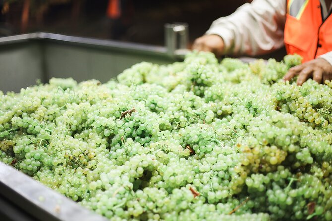 Afternoon Tour: Soap, Olive Oil & Wine Stories of Peza Village - Stop 3: Boutique Winery Walk, Cellar Talk, and Indigenous Wine Tasting