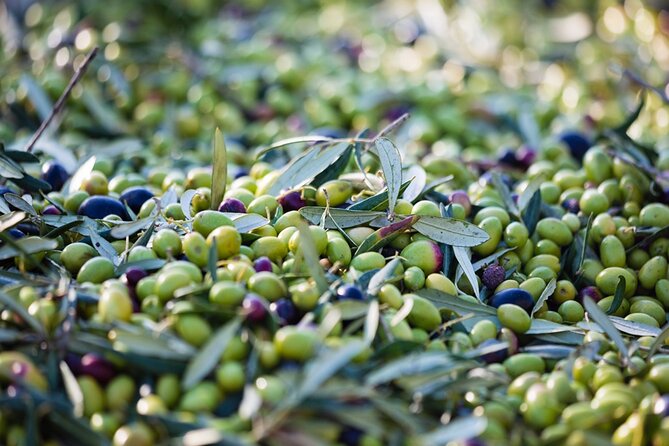 Afternoon Tour: Soap, Olive Oil & Wine Stories of Peza Village - Included vs. Not Included: Plan Your Day Like a Pro