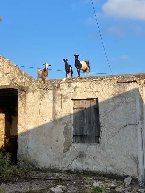 Agia Pelagia: Sunset or Morning Quad Tour & Ghost Town Visit - Fodele Free Time and Shopping for Orange Juice, Honey, and Crafts