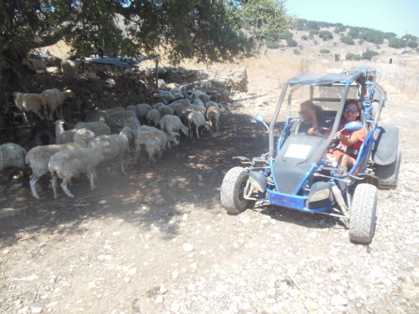 Buggy safari Crete (Transfer and lunch) analipsi- hersonisos - Latsida lunch at a traditional tavern: good fuel for the afternoon