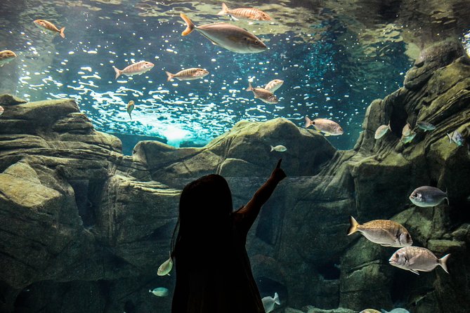 CRETAquarium Entrance Ticket in Crete - Price and Value: What $9.61 Buys You