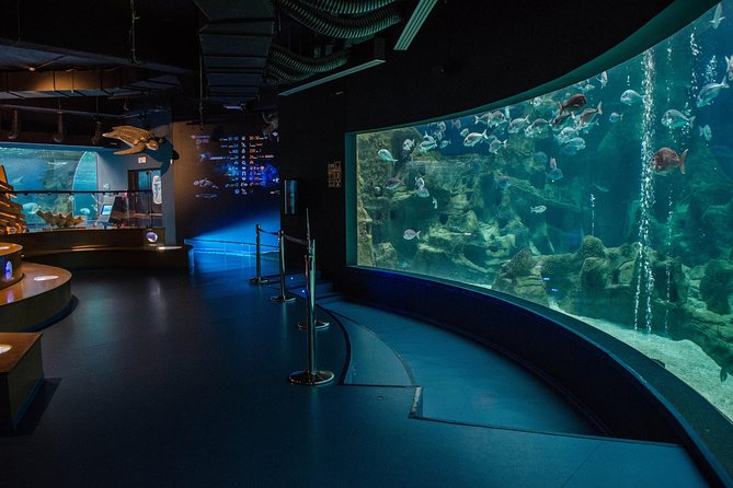 CRETAquarium Entrance Ticket in Crete - Timing: When to Go and How Much Time to Plan