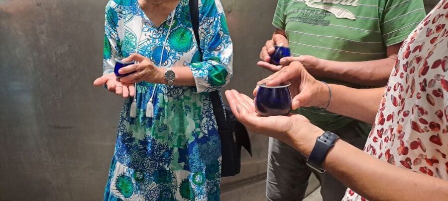 Crete: Full-Day Cretan Wines, Olive Oil, Raki and Food Tour - Winery visit with five wines: organic farming meets the glass