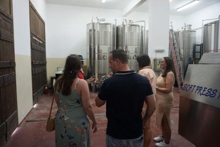 Crete: Full-Day Cretan Wines, Olive Oil, Raki and Food Tour - Raki distillery and ancient press: why this spirit is a Crete must