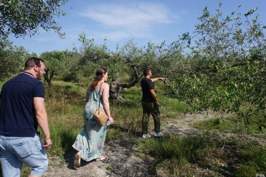 Crete: Full-Day Cretan Wines, Olive Oil, Raki and Food Tour - Pottery workshop in Thrapsano: the hands-on finale