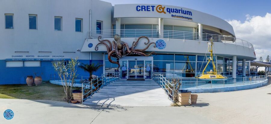 Crete: Heraklion Center, Local Market and Creta Aquarium - Liberty Square and the Venetian Lion Fountain (Morosini)