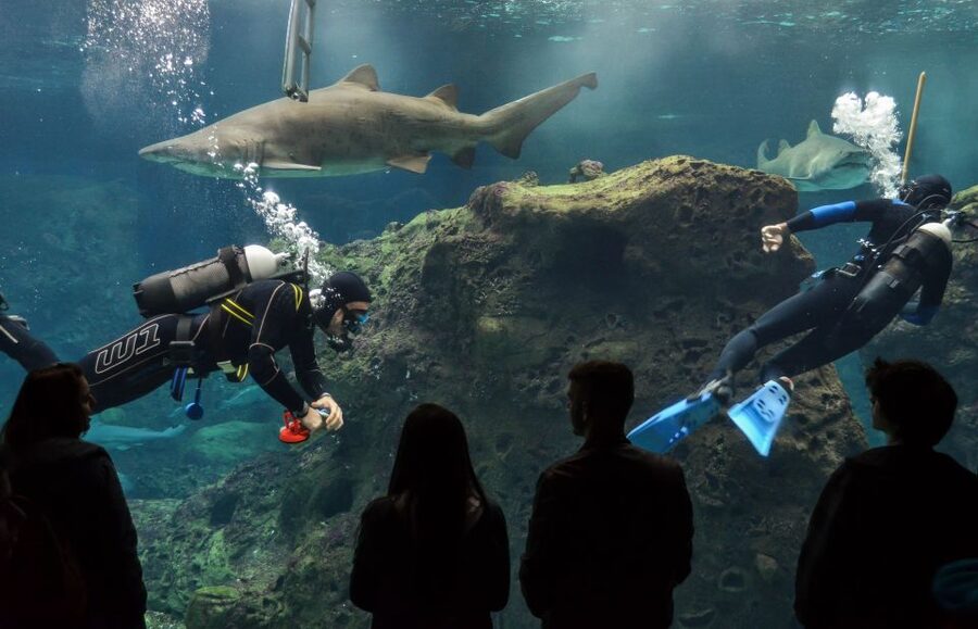 Crete: Heraklion Center, Local Market and Creta Aquarium - Cretaquarium: what the skip-the-line actually buys you