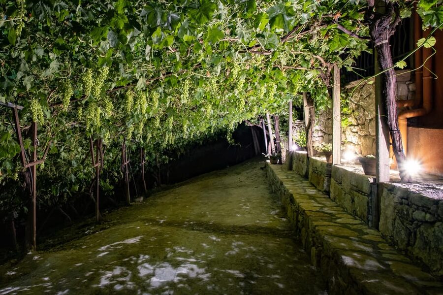 Crete: Jeep Safari Wine & Olive Oil testing Shepherd's House - Aposelemis Dam and the Sunken Village of Sfentyli