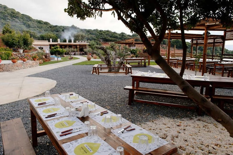 Crete: Knossos, Lasithi, Lasinthos and Olive Farm Combo Tour - Price and value: what $50.82 really buys (and what it doesn’t)