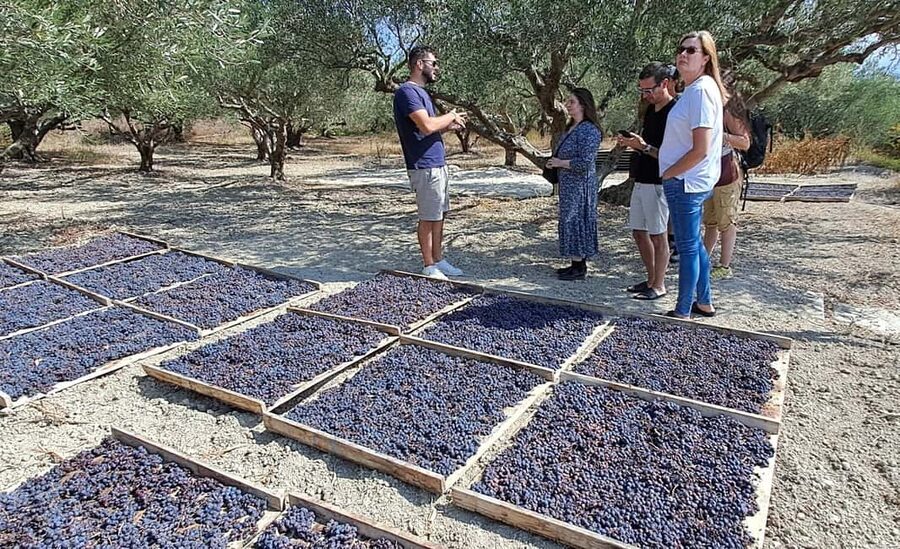 Crete: Knossos Palace, Winery & Olive Oil Tour with Lunch - Should You Book This Crete Day Trip?