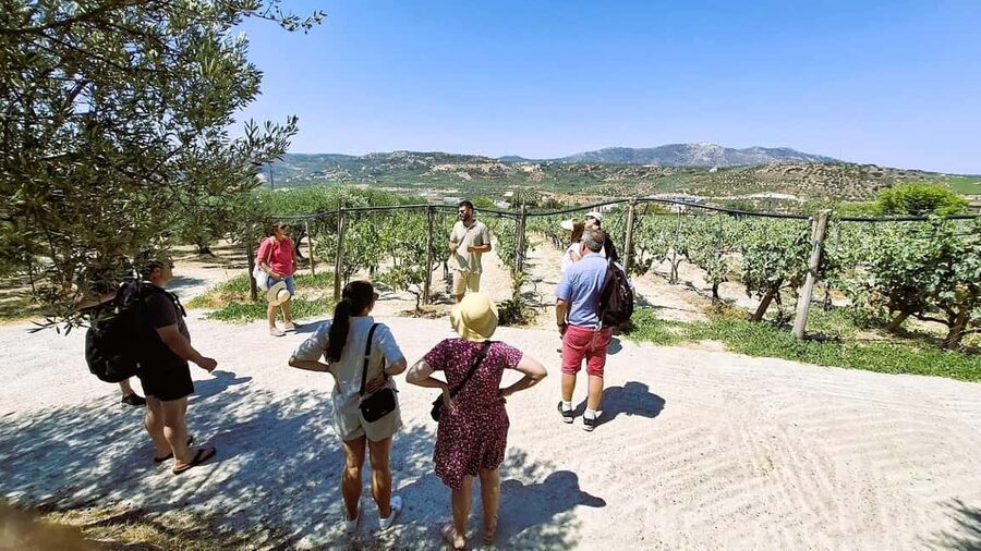 Crete: Knossos Palace, Winery & Olive Oil Tour with Lunch - The Palace of Knossos: My Favorite Part to Time Correctly