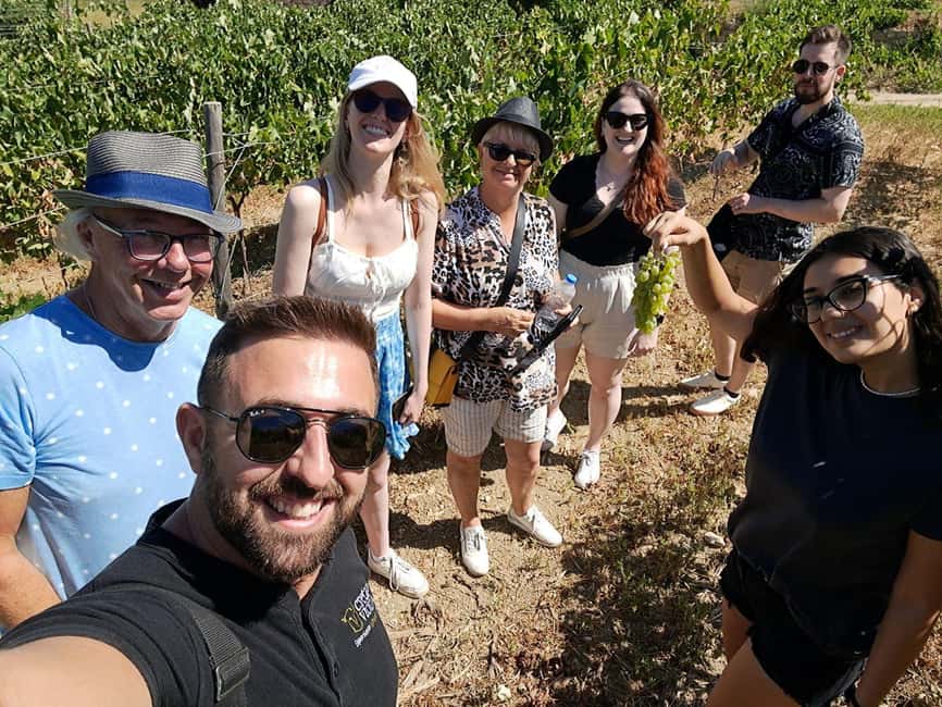 Crete: Knossos Palace, Winery & Olive Oil Tour with Lunch - Vilana and Kotsifali: Wine Tasting in the Cretan Countryside