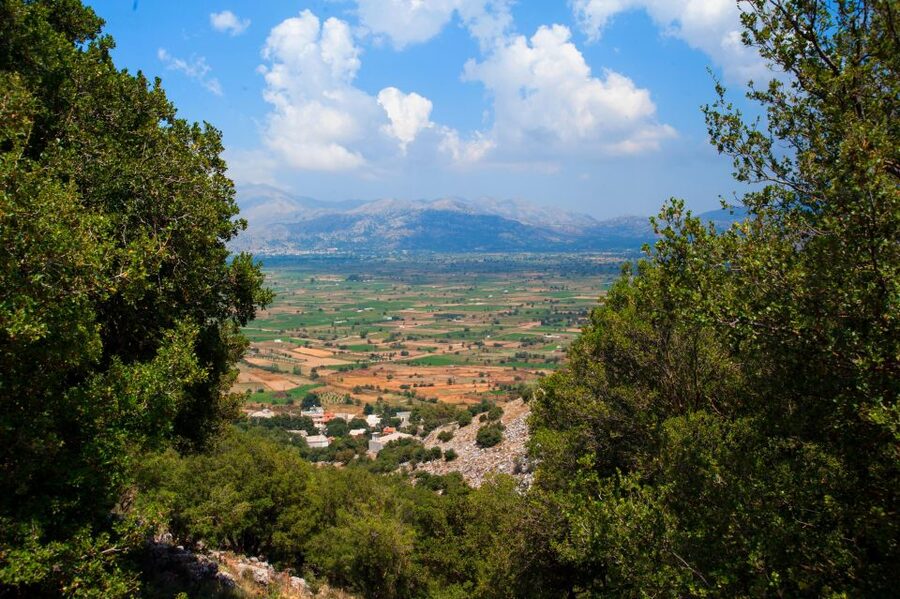 Crete: Lasithi Plateau & Knossos Palace Tour - Transportation and pacing: air-conditioned buses, lots of switching