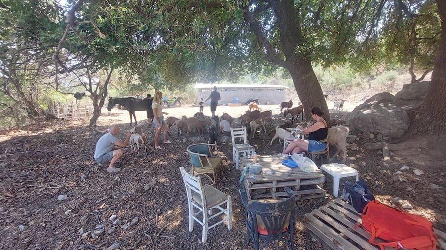 CRETE :MALIA HERSSONISOS QUADS ECOTOUR ADVENTURE - HIGH PERF - What it feels like to ride the Power Land electric ATVs