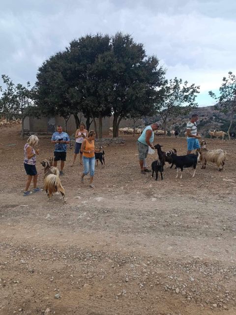 Crete: Milatos Cave Amazonas Zoo Park Jeep Safari Tour - Agios Nikolaos: lake and square to land the day