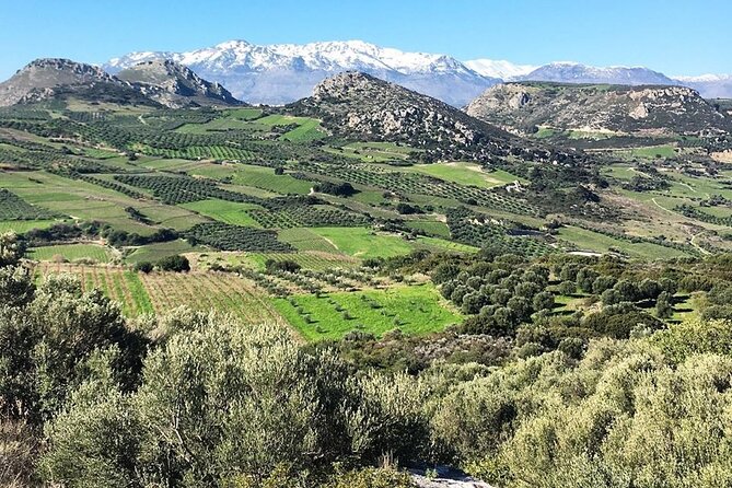 Crete: Olive Oil, Soap, Wine, Raki - Flavorful Culinary Journey - Pickup, transport, and the heat reality (plan like a local)