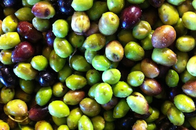 Crete: Olive Oil, Soap, Wine, Raki - Flavorful Culinary Journey - Wine tastings in Crete: indigenous varieties and real conversation