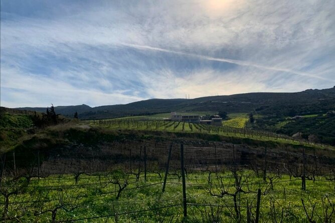 Crete: Olive Oil, Soap, Wine, Raki - Flavorful Culinary Journey - Raki distillery and barrel-aged tasting: spirit, ritual, and stories