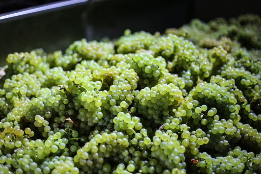 Crete: Olive, Wine, & Raki on a Flavorful Culinary Journey - Key Things You’ll Notice Right Away