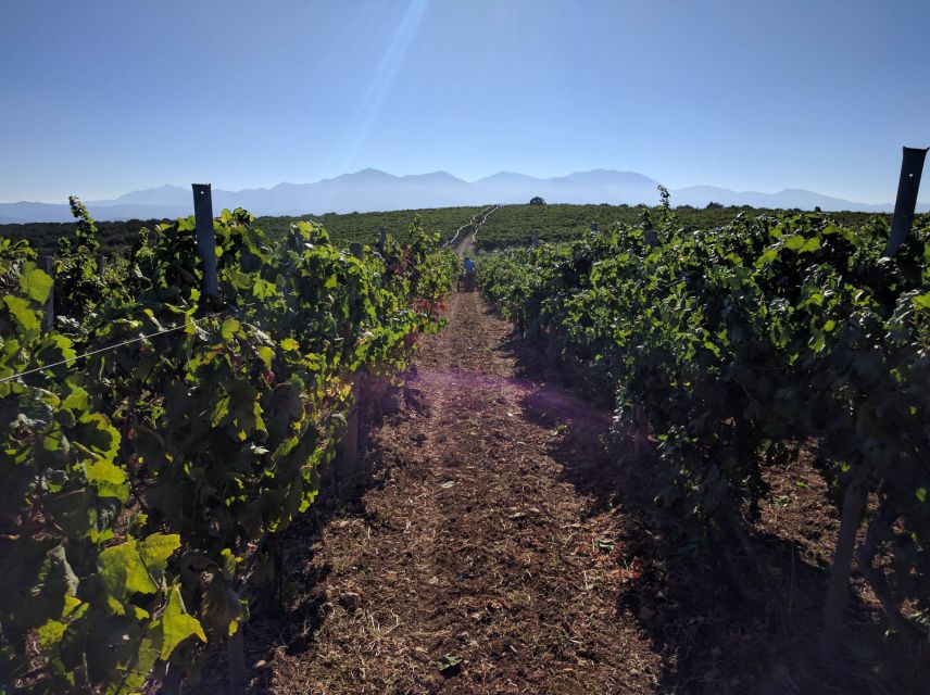 Crete: Olive, Wine, & Raki on a Flavorful Culinary Journey - Stironas and the Rakokazano: Two Rakis, One Guided Spirit Moment