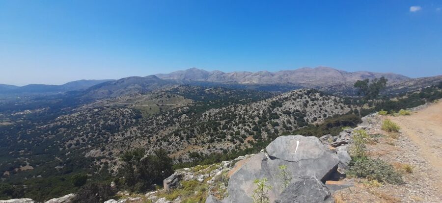 Crete: Olive, Wine, & Raki on a Flavorful Culinary Journey - Archanes Winery Time: Indigenous Wines and a Light Lunch That Actually Feeds You