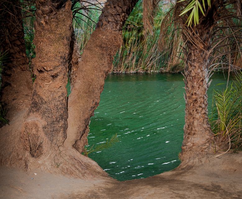 Crete: Preveli Tropical Beach and Palm Forest - Skaleta stretch break: why that 20 minutes matters