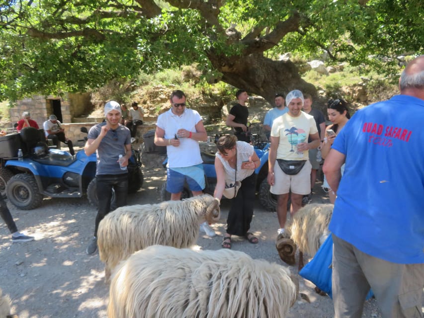 Crete Quad Safari Off-Road,Breathtaking Scenery&Amazing View - Malia Palace pass-by and the scenic drive segments: what you should notice from the road