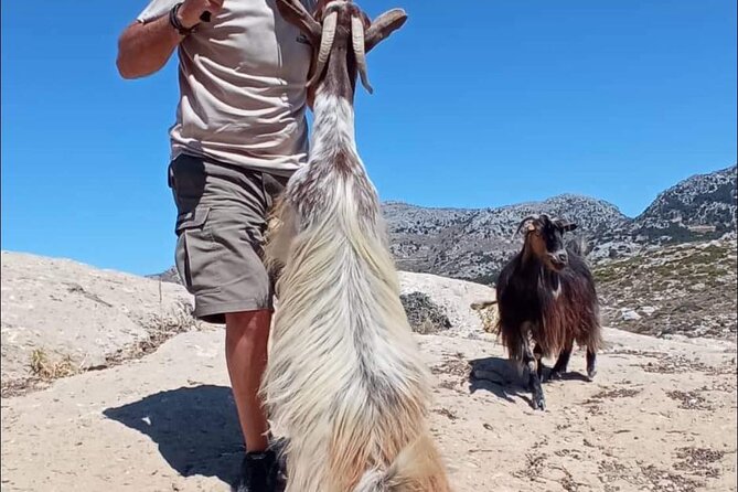 Crete: Tripitis Gorge South Crete Guided Jeep Safari - Monastery of Saint George Epanosifis: A Quiet Spiritual Stop With Real Character