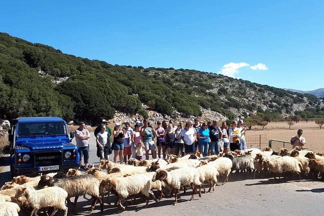 Crete: Tripitis Gorge South Crete Guided Jeep Safari - Patsides: cheese and local food tasting to set the tone