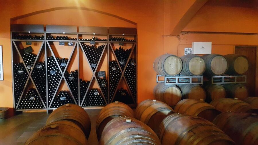 Discover Taste of Crete: Guided Winery Tour and Tastings - How the wine tastings work (and how to use that time)