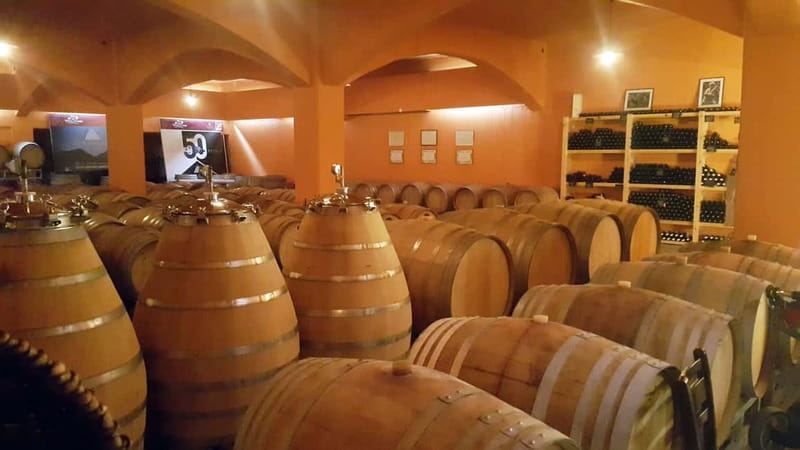 Discover Taste of Crete: Guided Winery Tour and Tastings - Lunch? Snacks? What you’ll actually eat