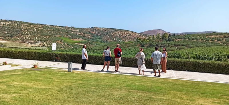 Discover Taste of Crete: Guided Winery Tour and Tastings - The value math: why $119 can feel fair