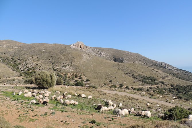 Discover The Secrets Of The Southern Crete Jeep Safari tour - Dimos Viannos village pause: narrow streets, churches, and raki