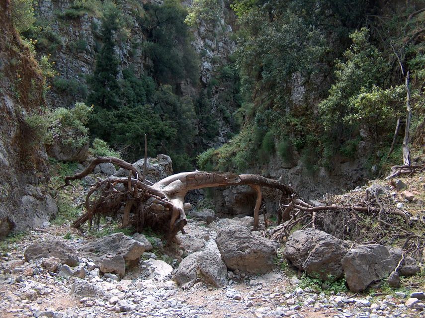 From Heraklion: Imbros Gorge and Libyan Sea Guided Day Trip - Price and value: is $53 fair once the day adds up?