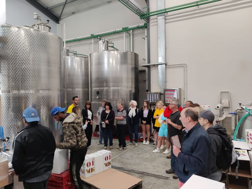 From Heraklion: Matala Beach - Caves & winery Full Day tour - Price and value: what’s included, what costs extra, and who it fits