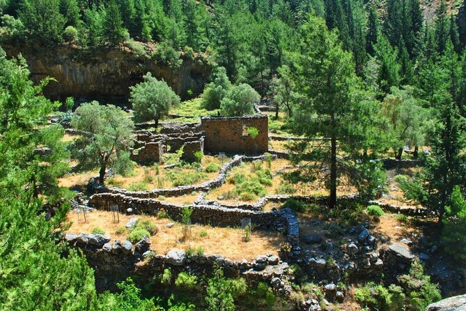 Full Day Hiking at Samaria Gorge&Agia Rumeli Beach from Heraklion - What to pack for Samaria: your knees and feet will set the rules