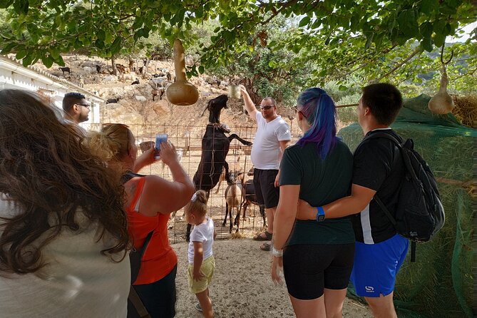 Full-Day Jeep Safari Tour with Cooking Lesson - What You’ll Learn in the Cooking and Pottery Classes