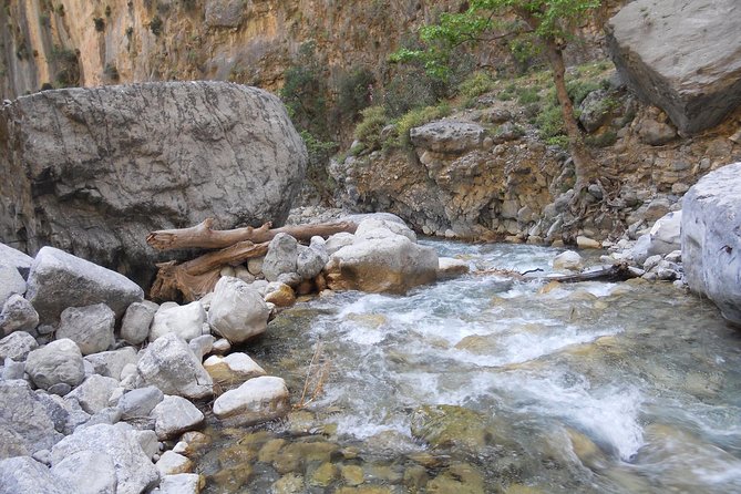 Full Day Samaria Gorge 10-Mile Walking Tour - Walking the Gorge for 10 Miles: Views, Crowds, and That Narrow-Trail Feeling