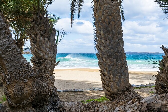 Full-Day Tour to Vai Palm Beach, Toplou Monastery, and Sitia Town - Sitia Town: Beach Road Stroll, Coffee Break, and Homemade Sweets