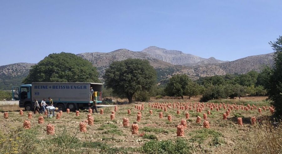 Full Day trip to Spinalonga and Lasithi Plateau Land of Zeus - Krasi village plane tree and raki from natural springs: a break that feels genuinely local