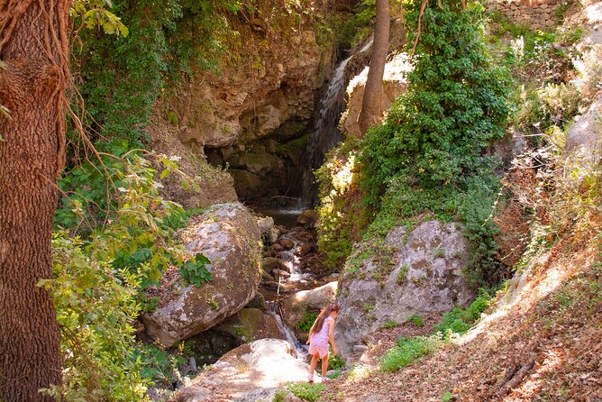Half-Day Private Tour & Picnic in Real Cretan Countryside Retreat - The Panagia Kardiotissa Spot: Picnic Time With Water, Oaks, and Peacocks