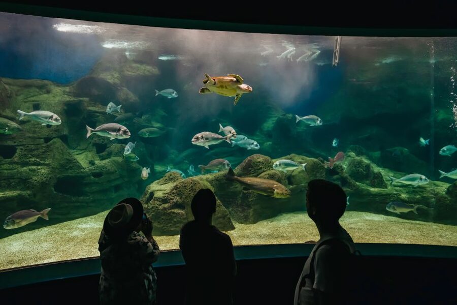 Heraklion Area: CRETAquarium Admission Ticket - Key things I’d plan around at CRETAquarium