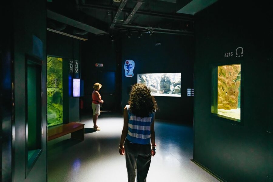 Heraklion Area: CRETAquarium Admission Ticket - Final decision: should you book CRETAquarium in Heraklion?