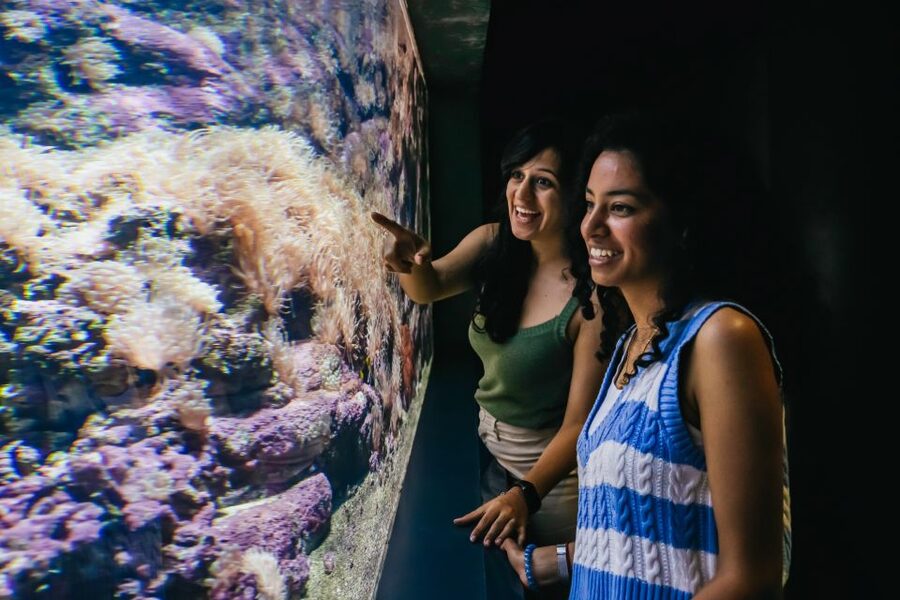 Heraklion Area: CRETAquarium Admission Ticket - On-site practicalities: shoes, audio guide, and the small things that affect comfort