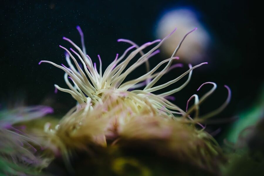 Heraklion Area: CRETAquarium Admission Ticket - Who CRETAquarium fits best (and who might want a larger aquarium)