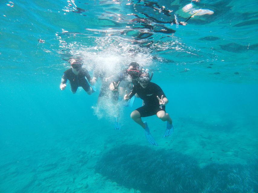 Heraklion: Beginner-Friendly Snorkeling Trip - Key highlights worth paying attention to