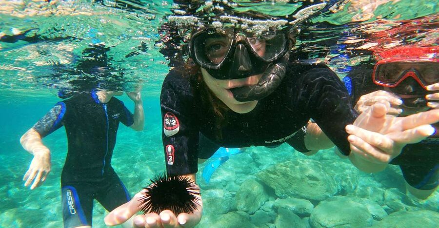 Heraklion: Beginner-Friendly Snorkeling Trip - Safety briefing and instruction: how you get confident fast