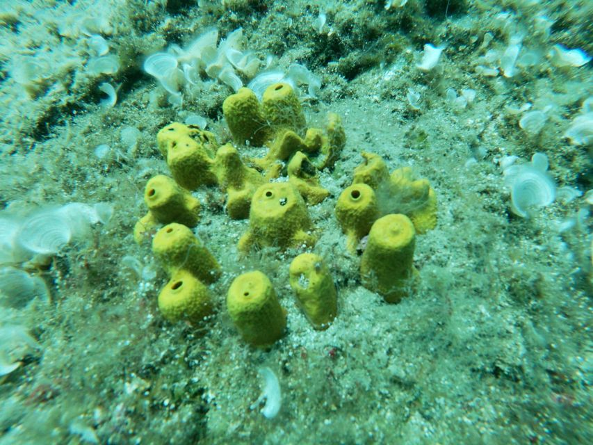 Heraklion: Beginner-Friendly Snorkeling Trip - The 3-hour flow: what happens minute by minute